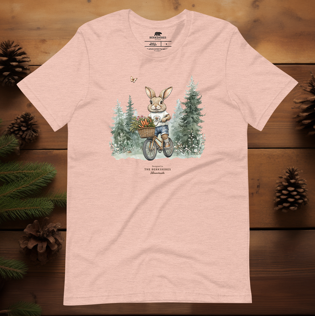 Carrot Cruiser π₯