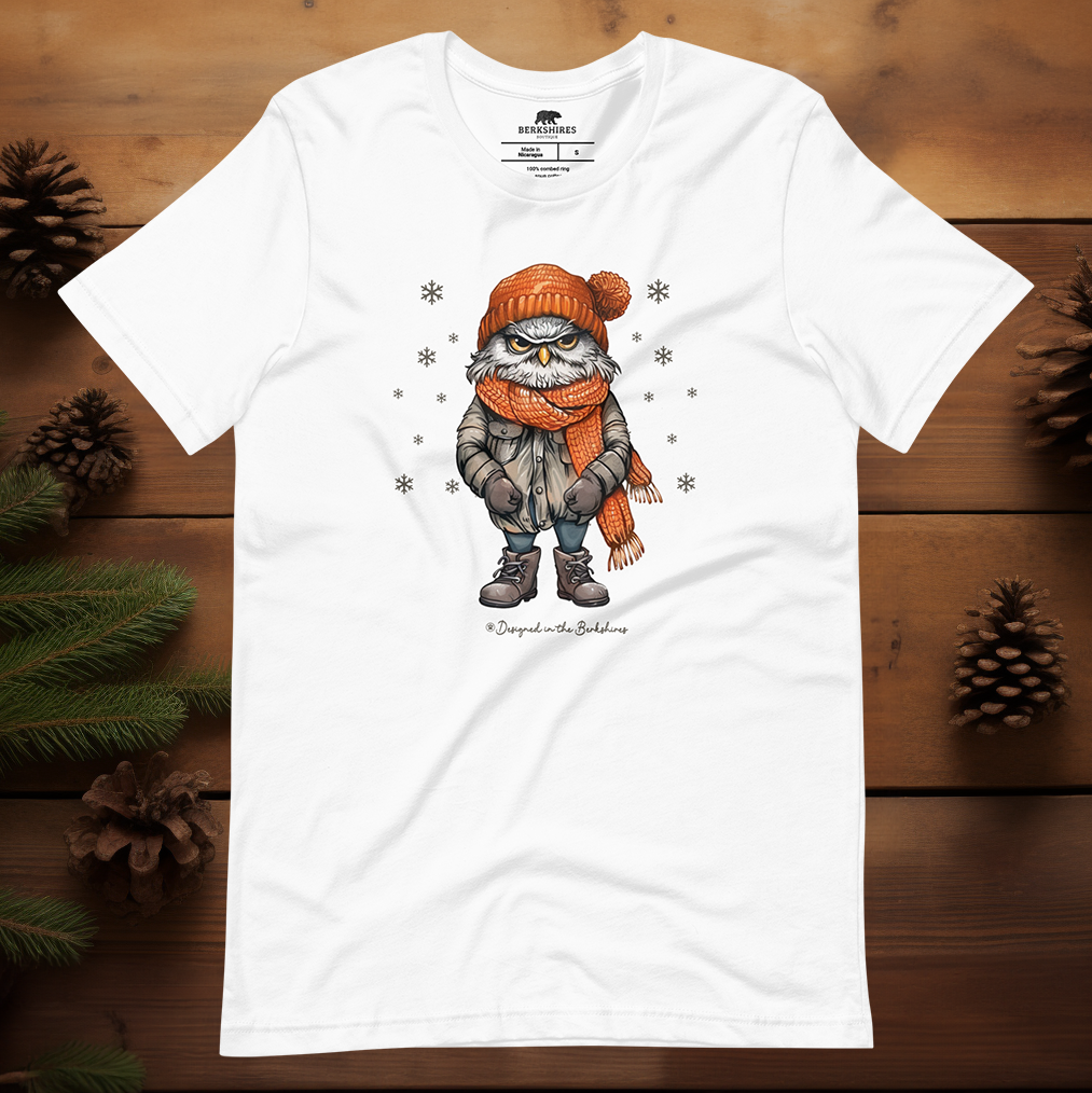 Grumpy Owl in the Winter