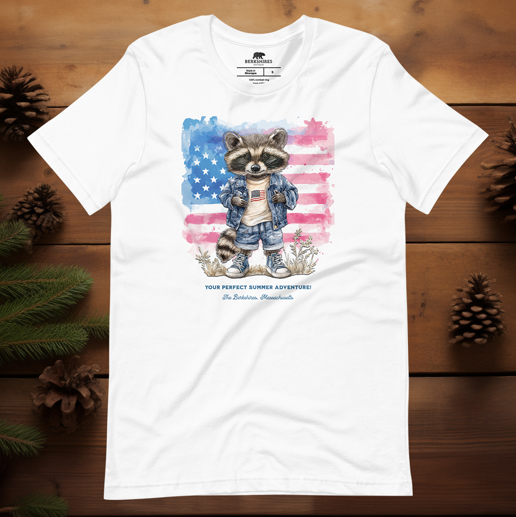 Raccoon's Summer Adventure