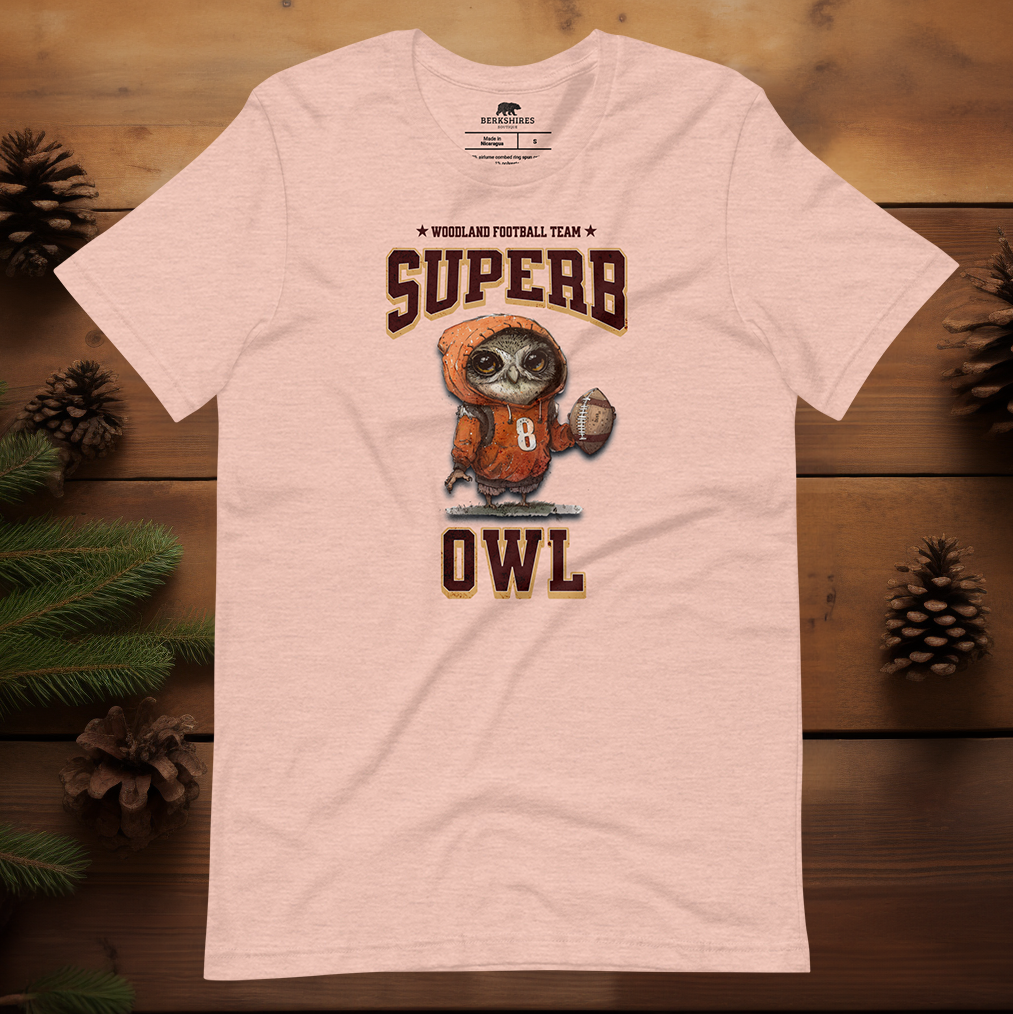 Superb Owl Football