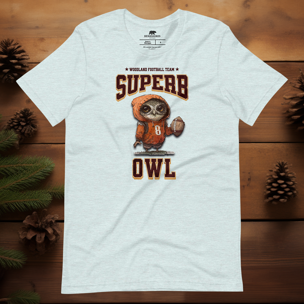 Superb Owl Football