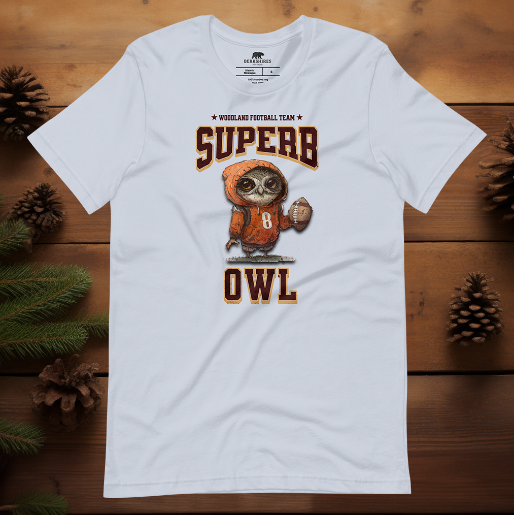 Superb Owl Football
