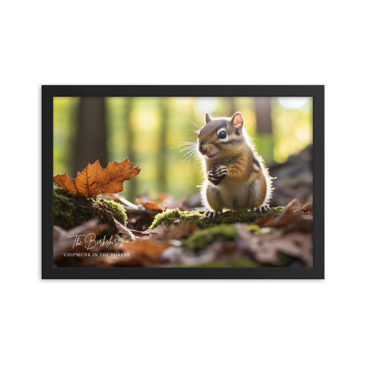 Wall Art: 'Chipmunk in the Forest' Framed Poster