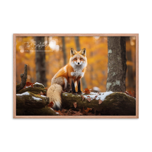 Wall Art: 'The Curious Observer' Framed Poster