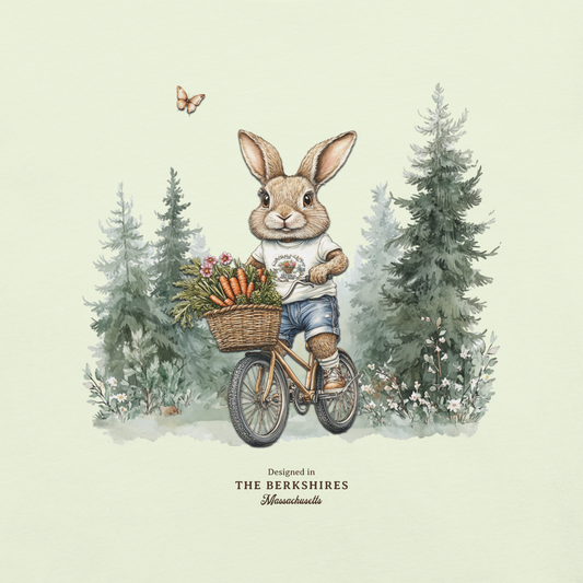 Carrot Cruiser π₯