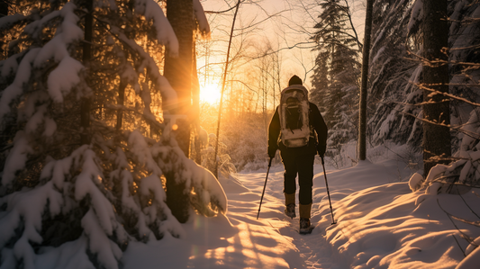 Exploring Nature Year-Round
