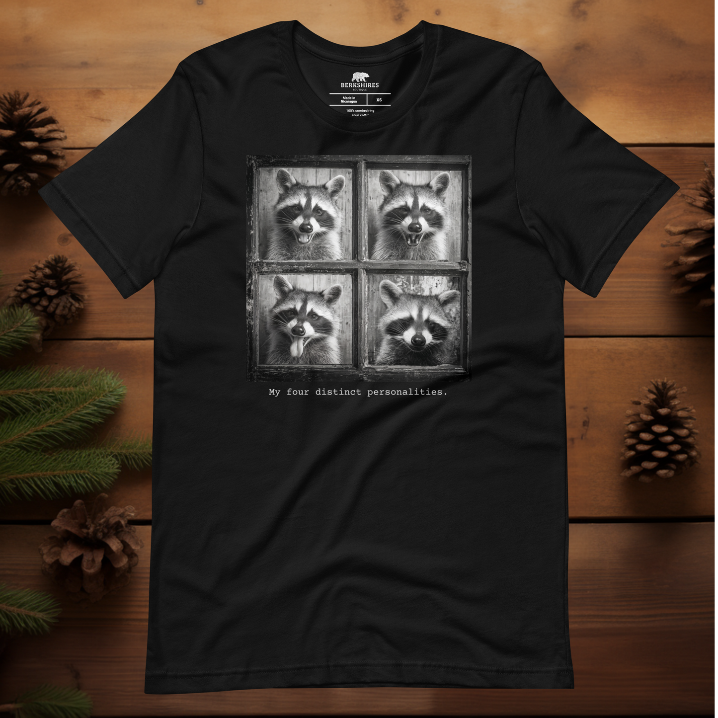 Four Personalities Raccoon