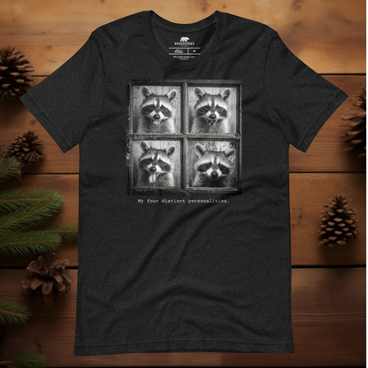 Four Personalities Raccoon