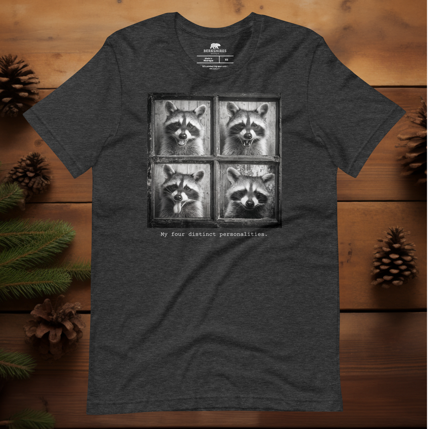 Four Personalities Raccoon
