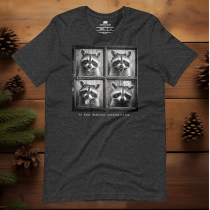 Four Personalities Raccoon