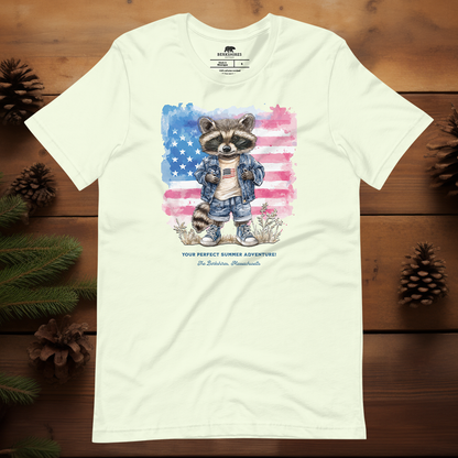 Raccoon's Summer Adventure