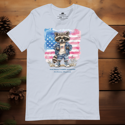 Raccoon's Summer Adventure
