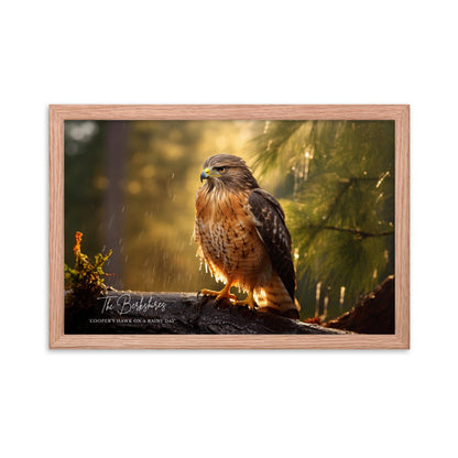 Wall Art: 'Cooper's Hawk on a Rainy Day' Framed Poster
