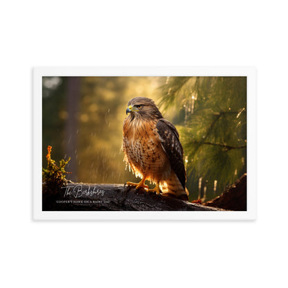 Wall Art: 'Cooper's Hawk on a Rainy Day' Framed Poster
