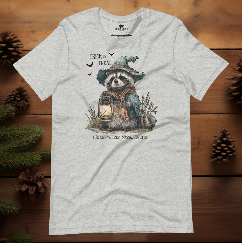 Trick or Treat Raccoon 🎃