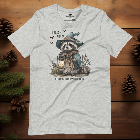 Trick or Treat Raccoon 🎃