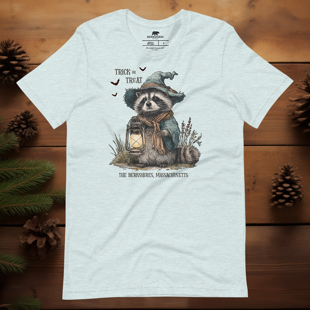 Trick or Treat Raccoon 🎃
