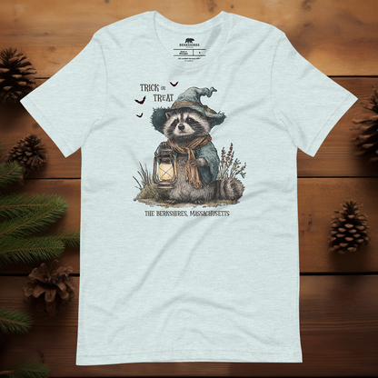 Trick or Treat Raccoon 🎃