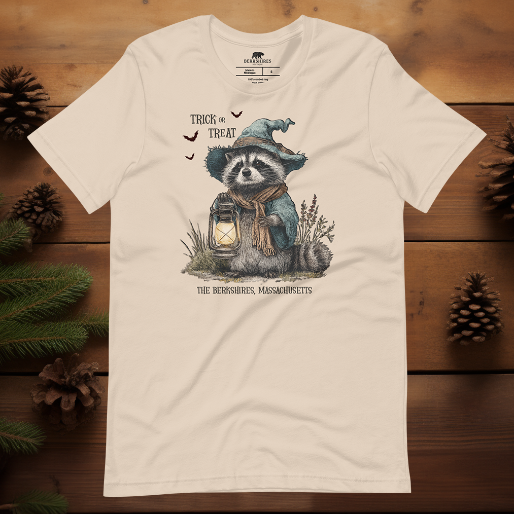 Trick or Treat Raccoon 🎃