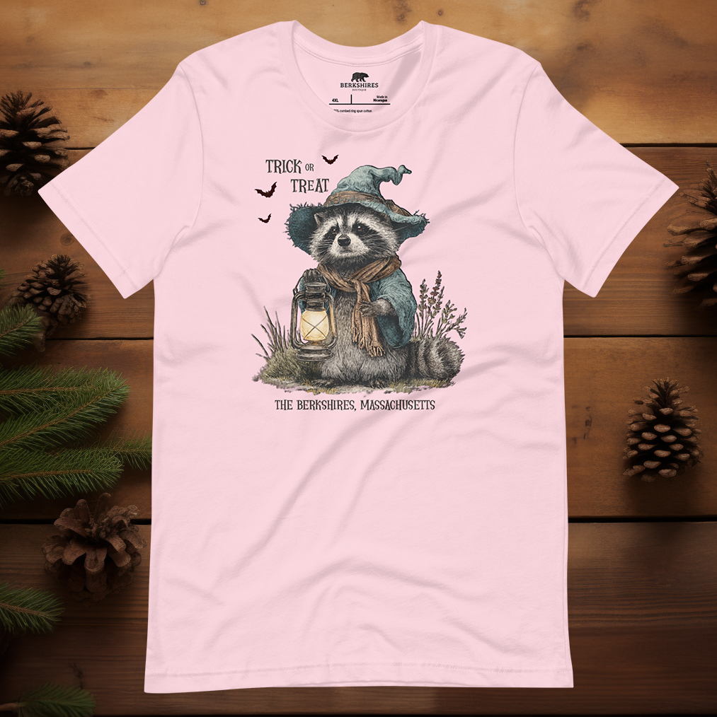 Trick or Treat Raccoon 🎃