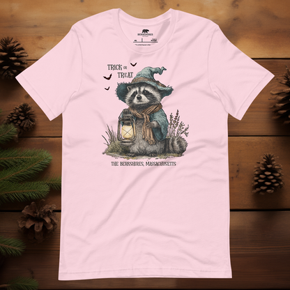 Trick or Treat Raccoon 🎃