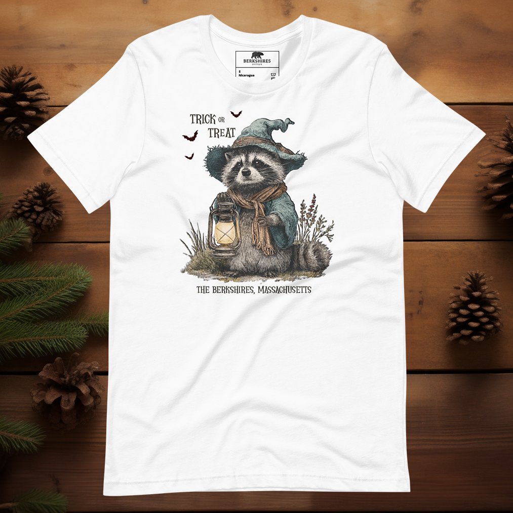 Trick or Treat Raccoon 🎃