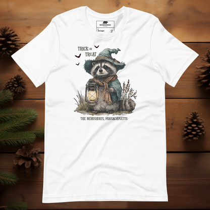 Trick or Treat Raccoon 🎃