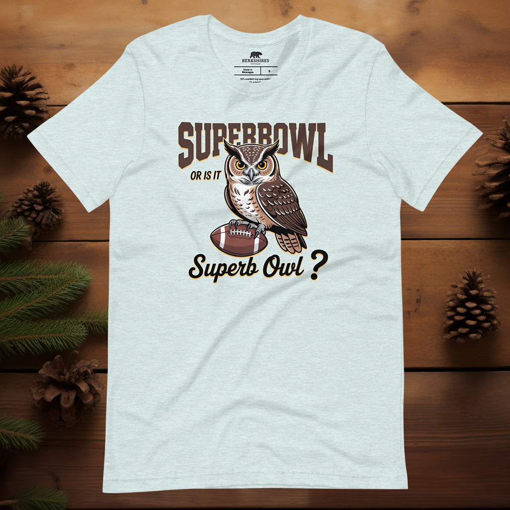 Superb Owl