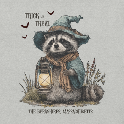 Trick or Treat Raccoon 🎃