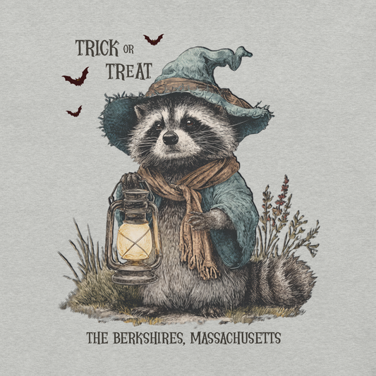Trick or Treat Raccoon 🎃
