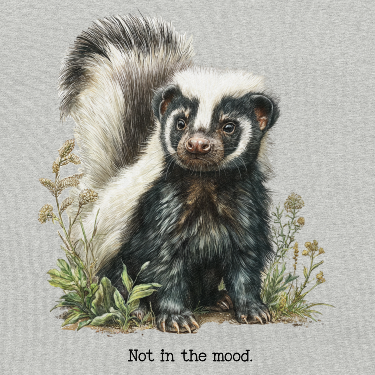 Illustration of a skunk with text 'Not in the mood.' on a light gray background