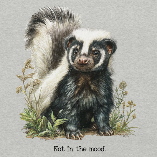 Illustration of a skunk with text 'Not in the mood.' on a light gray background