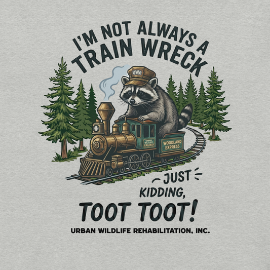 Raccoon Train-Wreck | Unisex Lightweight